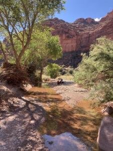 IMG 8639