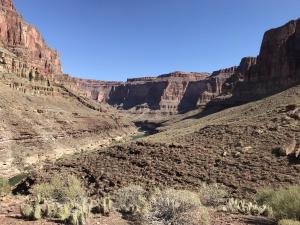 IMG 8644
