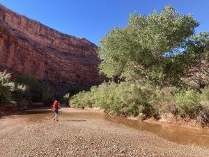 IMG 8644