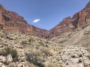 IMG 8658