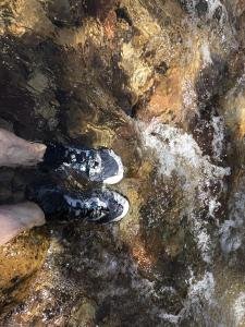 IMG 8683