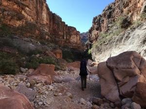 IMG 9683