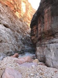 IMG 9684