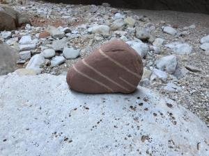 IMG 9689