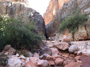 IMG 9691