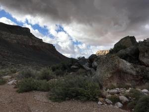 IMG 9761